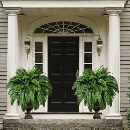 Last Day 75% OFF--UV Resistant Lifelike Artificial Boston Fern