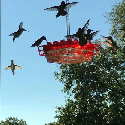 💥Last Day Sale 70% OFF🎁 Hanging Outdoor Hummingbird Feeder🐦