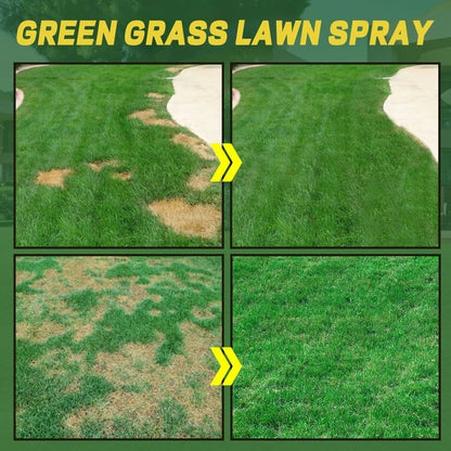 GREEN GRASS & PEST CONTROL LAWN SPRAY🌱