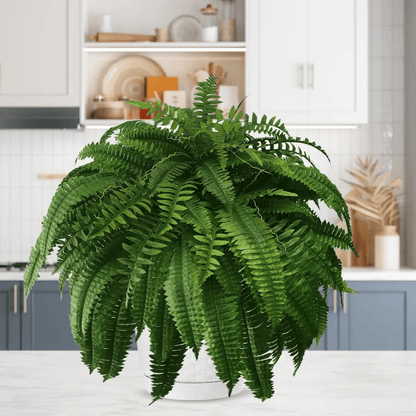 Last Day 75% OFF🌿UV Resistant Lifelike Artificial Boston Fern