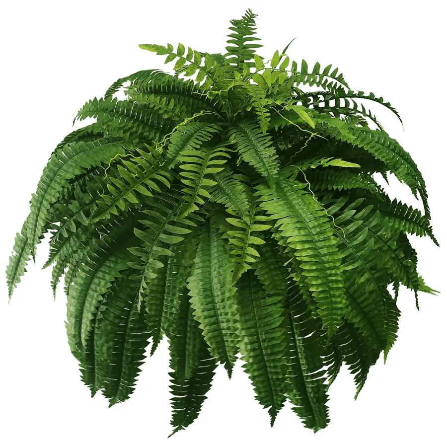 Last Day 75% OFF🌿UV Resistant Lifelike Artificial Boston Fern