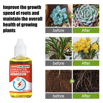 (🔥HOT SALE NOW 49% OFF) - Plant Growth Enhancer Supplement